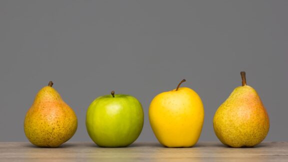 Bild von Äpfeln und Birnen, denn beim Vergleich von Projekten sollte man die Art des Portfolios - bildlich gesprochen Apfel oder Birne - beachten