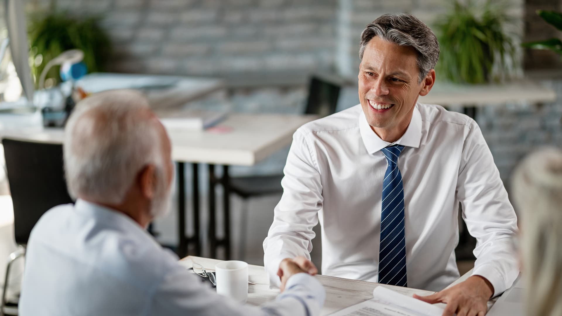 Projektportfoliomanagement für Finanzdienstleister mit Meisterplan