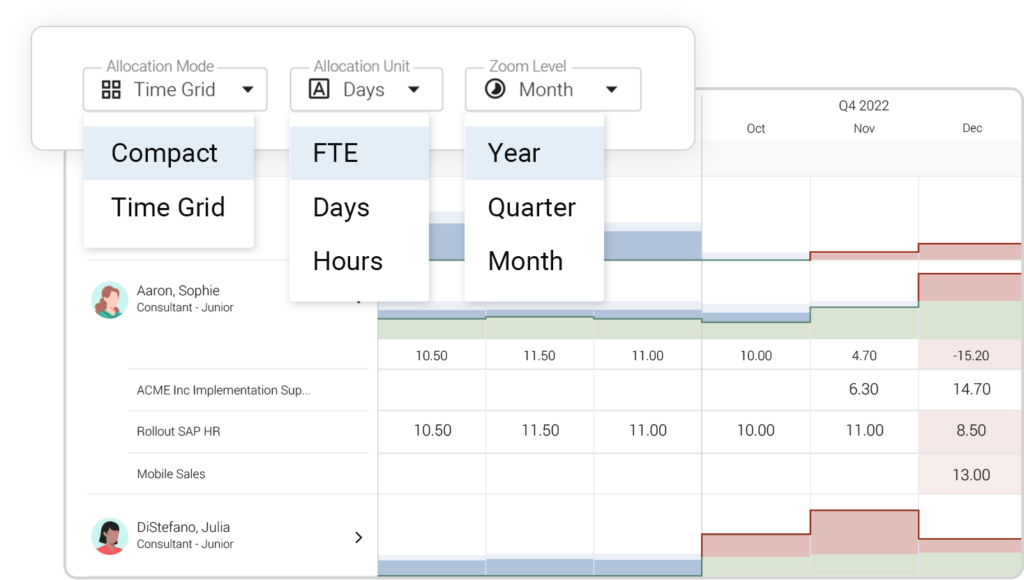 Resource Capacity Planning with Meisterplan