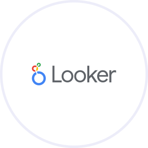 Looker Studio Logo